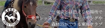 STUNT TEAM ロゴ