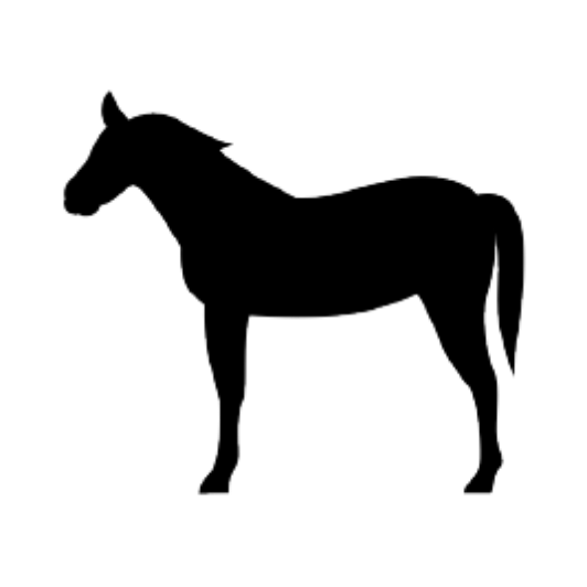GOCOO HORSE VILLAGEとは？