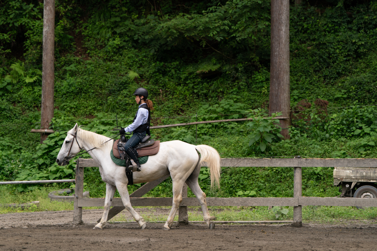 専用馬運車で現地へお伺いします